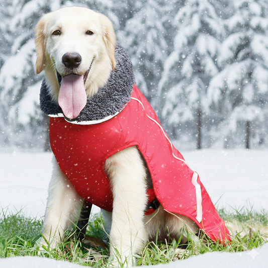 Waterproof Dog Coat for Large Dogs – Reflective Insulated Winter Jacket