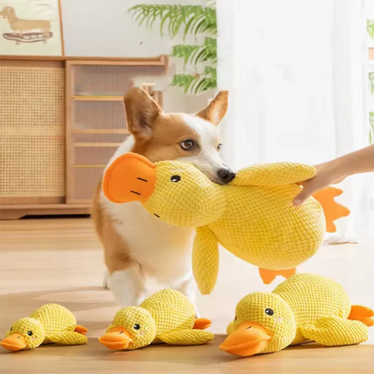 Duck Comfort Toy for Dogs – Chew-Resistant, Soft & Anxiety-Reducing